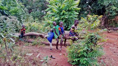Unos niños juegan sobre un árbol talado en Katire, Sudán del Sur, el 1 de enero de 2019.