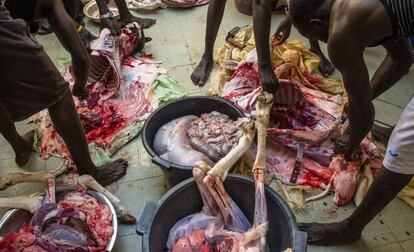 Los hombres de la familia Dieye despiezan los carneros recién sacrificados por la fiesta del tabaski en Saint Louis, Senegal.