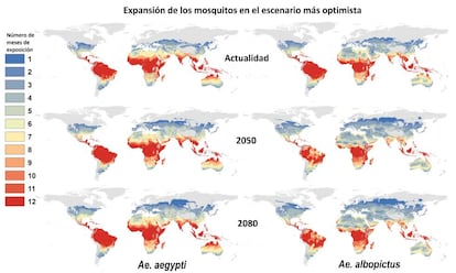 Esta es la proyección que hace el estudio para la expansión de las dos especies del mosquito Aedes en el escenario más optimista, si las temperaturas solamente subieran un grado centígrado de aquí a 2080. Los colores representan durante cuántos meses las temperaturas serían propicias para estos insectos. Pinchar en la imagen para aumentar.