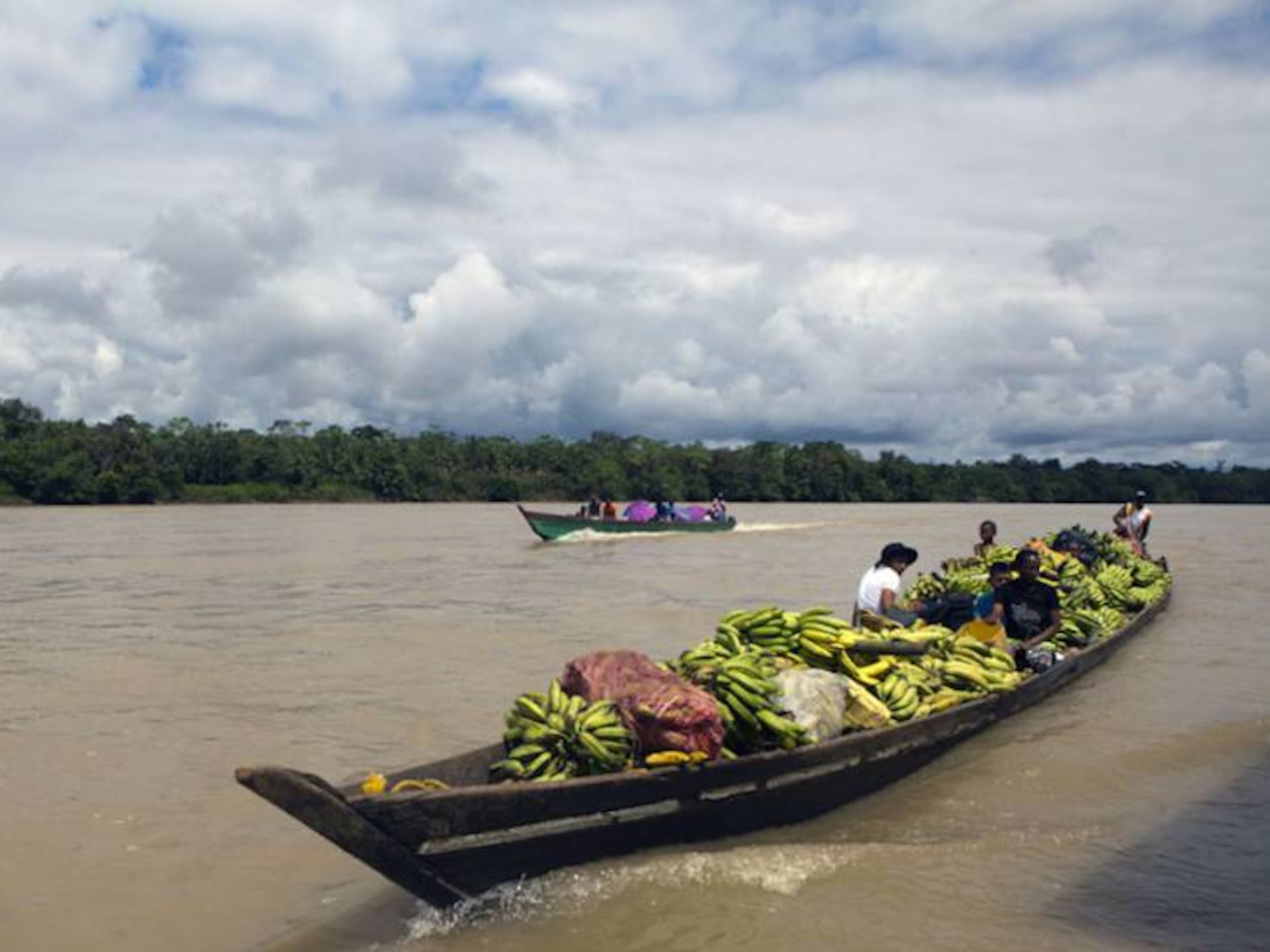 Atrato: Tres ríos en el mundo tienen derechos. Uno es este y 'vive' amenazado | Planeta Futuro | EL PAÍS