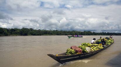 El río Atrato atraviesa la región de El Chocó y la selva de la segunda región más biodiversa del mundo, en Colombia.