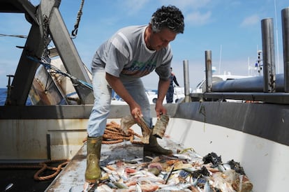 Um pescador separa o lixo dos peixes durante um projeto contra a contaminação em Livorno (Itália).