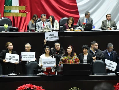 camara de diputados