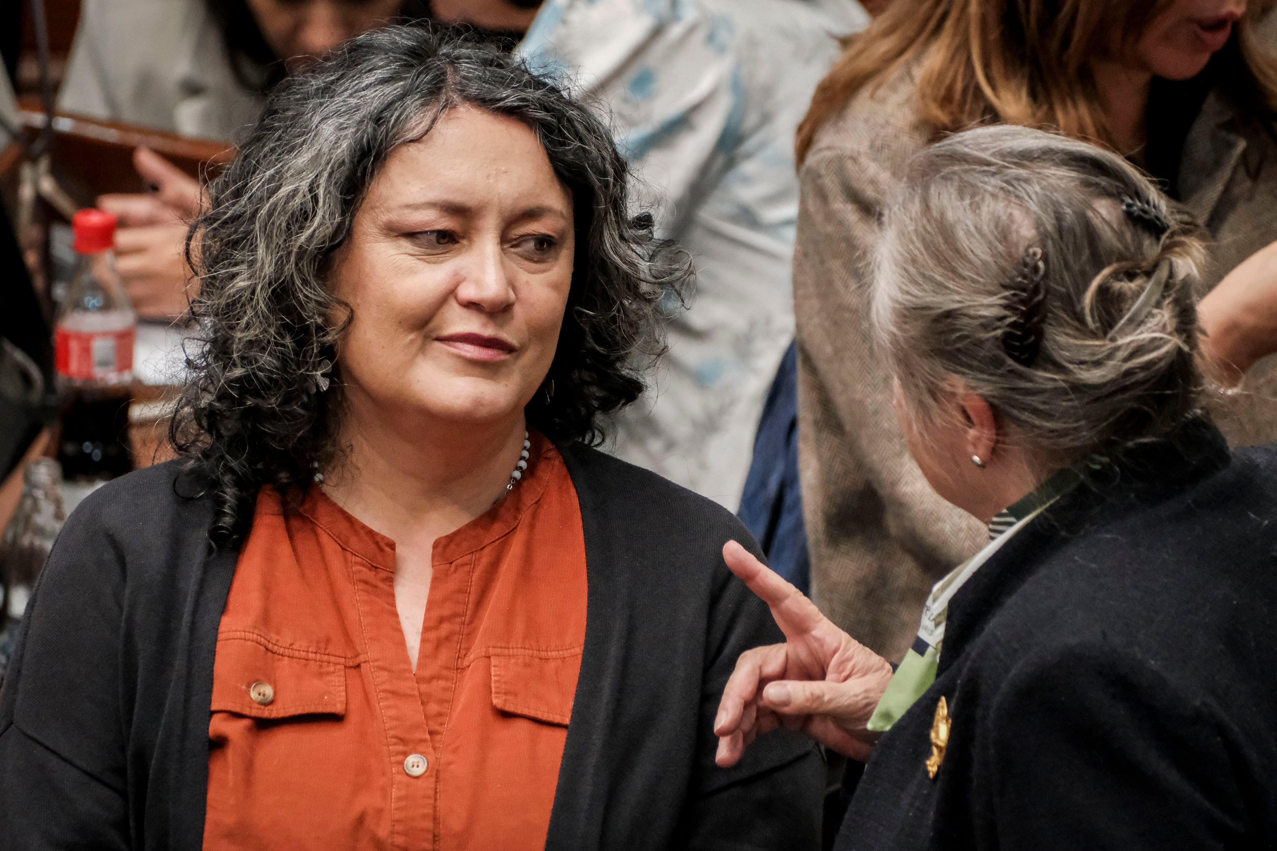 La Alianza Verde se fractura ante el debate por la corrupción del petrismo