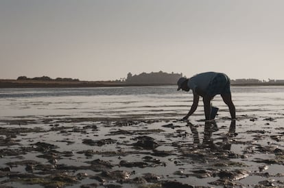 La zona intermareal de la ría Carreras, en Isla Cristina (Huelva), ofrece la oportunidad de recrearse la vista con los mariscadores desenterrando almejas de fango.