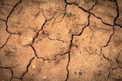 Las formas de vida basadas en la agricultura son cada vez más inciertas debido a la alta variabilidad del clima.