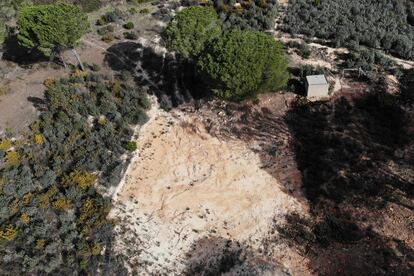 Balsa ahora reseca para robar agua en Lucena del Puerto, cercana a Doñana, el pasado mes.