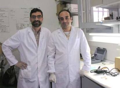 Los investigadores del CSIC Antonio Rosas (izquierda) y Carles Lalueza (derecha) han descubierto que la mutación genética que determina el grupo sanguíneo 0 no es exclusiva de los humanos modernos.