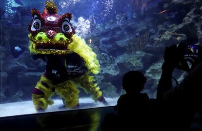 El público ve la Danza del León bajo el agua durante el primer día del Año Nuevo Lunar chino en el KLCC Aquaria, en Kuala Lumpur (Malasia).