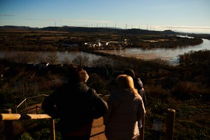 Terrenos del municipio navarro de Tudela, inundados por la crecida del río Ebro el domingo.
