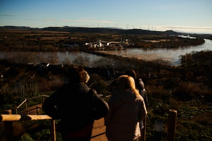 Terrenos del municipio navarro de Tudela, inundados por la crecida del río Ebro el domingo.