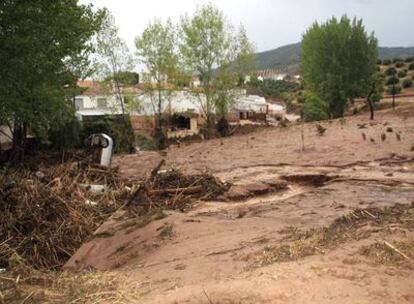 Un automóvil sobresale entre los restos de maleza arrastrados por el arroyo Peñolite.