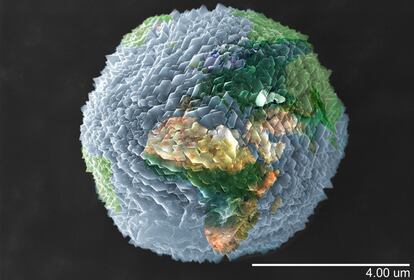 En la categoria de fotografia micro, la guanyadora ha estat aquesta imatge d'un cristall de zeolita, que mesura 0,004 mil·límetres, obtingut al laboratori a partir d'un residu d'alumini. Les zeolites són minerals que s'originen per reaccions entre roques sedimentàries i volcàniques. Al laboratori es preparen i dissenyen a partir de reactius químics i també se sintetitzen a partir de residus, com la de la imatge, feta amb un microscopi electrònic d'escombratge. Aquesta zeolita s'utilitza per eliminar metalls pesants en aigües, de manera que s'aconsegueix resoldre dues problemàtiques ambientals: l'aprofitament de residus i el tractament d'aigües contaminades.