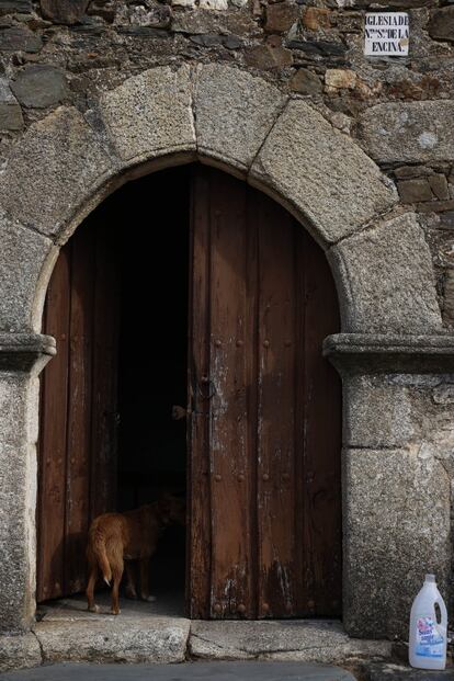 Puerta de la Iglesia de Vide de Alba.