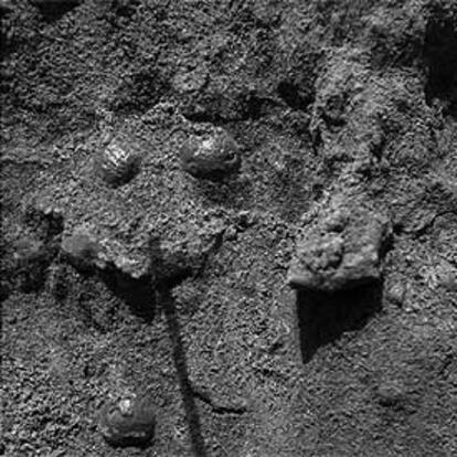 Piedras redondas desenterradas por el <i>Opportunity</i> en Marte.