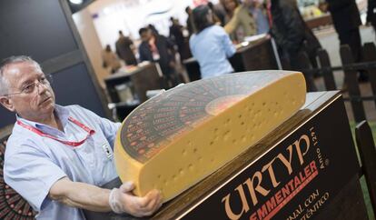 Una pieza de queso suizo emmentaler, de la variedad Urtyp.