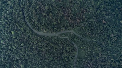 Río Lacantún en la Reserva De Montes Azules