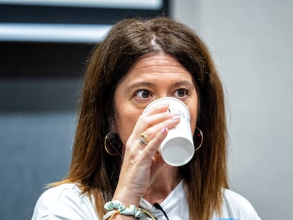 La Fiscalía informa al juez Pedraz de que la mano derecha de García Ortiz se reunió con Leire Díez y un abogado