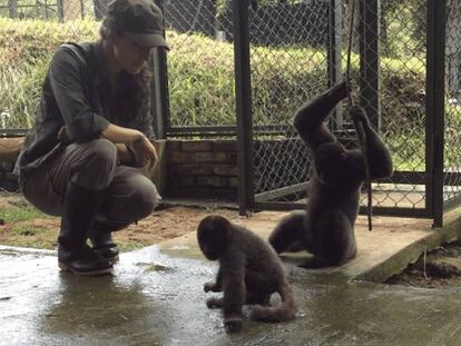 Una científica de la Universidad de los Andes observa a unos monos lanudos en cautividad como parte de un programa de reintroducción de la fauna colombiana.