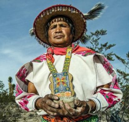 Uxamuire sostiene plantas de peyote.