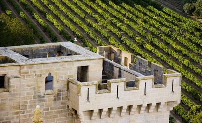 Viñedos junto al castillo de Olite.