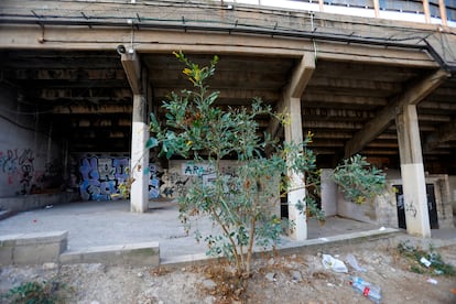 Basura y maleza en la parte del aparcamiento del estadio José Rico Pérez, en Alicante.