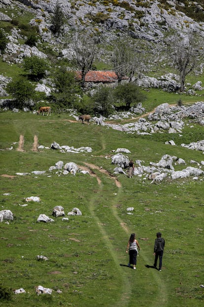 Paisaje de La Majada de Teón, en el parque natural de Los Picos de Europa. 