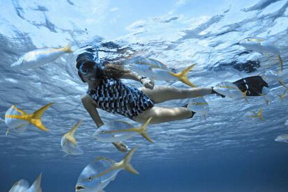 Uma mulher mergulha no recife mesoamericano no Caribe.