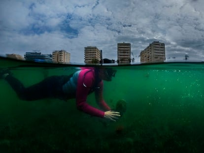 The biologist Francisca Giménez Casalduero takes samples from the Mar Menor.