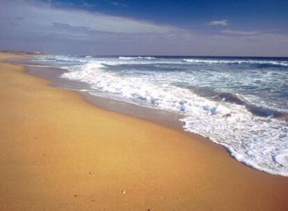 La Playa de la Barrosa en Chiclana de la Frontera tiene una longitud de 8 kilómetros