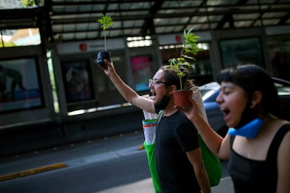 Protesta contra la legalización de la marihuana en Ciudad de México el pasado 26 de noviembre.