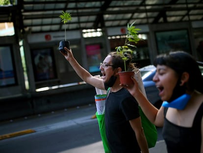 Protesta contra la legalización de la marihuana en Ciudad de México el pasado 26 de noviembre.