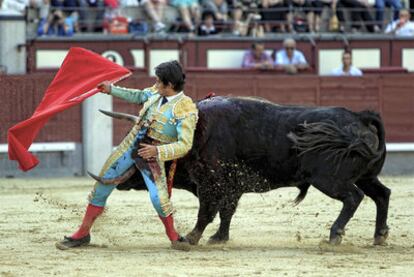 El torero Joselillo es cogido por el toro en la faena al sobrero que sustituyó al segundo astado de la tarde.