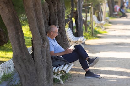 Un hombre lee en un parque en San Sebastián.
