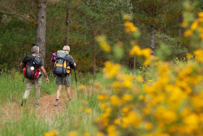 Una pareja de peregrinos, en ruta hacia la localidad asturiana de Grandas de Salime por el Camino Primitivo.