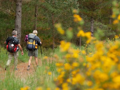 Una pareja de peregrinos, en ruta hacia la localidad asturiana de Grandas de Salime por el Camino Primitivo.