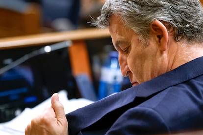 El presidente del PP, Alberto Núñez Feijóo, durante la sesión de control al Gobierno, este miércoles. El PP se queda solo en su guerra por aumentar el caudal del trasvase Tajo-Segura