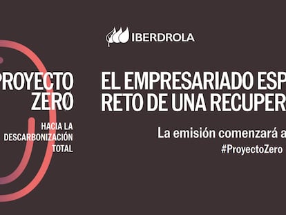 Proyecto Zero: las empresas españolas, ante el reto de una recuperación verde