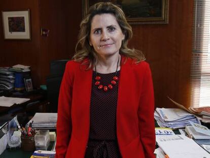 Pilar Jurado, directora del departamento de Aduanas de la Agencia Tributaria, en su despacho en Madrid.