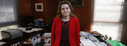 Pilar Jurado, directora del departamento de Aduanas de la Agencia Tributaria, en su despacho en Madrid.
