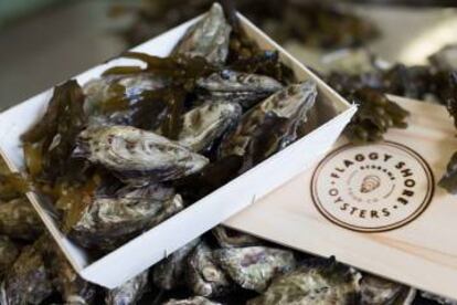 Una caja de ostras de Flaggy Shore Oysters Experiences.