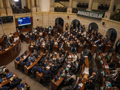 Sesión sobre el uso de cannabis en el Congreso de la República en Bogotá, el 20 de junio.