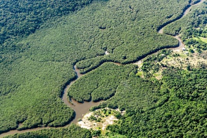 Un pequeño río serpentea por la selva amazónica en Brasi.