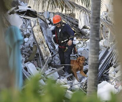 Um bombeiro realiza buscas com a ajuda de um cão, em meio aos escombros do condomínio Champlain Towers South.