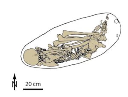 Diagrama del fósil Kostenki 14, analizado en la Universidad de Cambridge