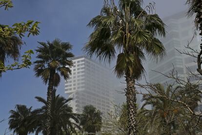 Dos edificis de Diagonal Mar tapats per la boira. 