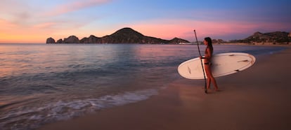 Los Cabos se conoce por sus playas paradisíacas, fauna marina y actividades al aire libre.