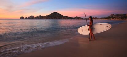 Los Cabos se conoce por sus playas paradisíacas, fauna marina y actividades al aire libre.