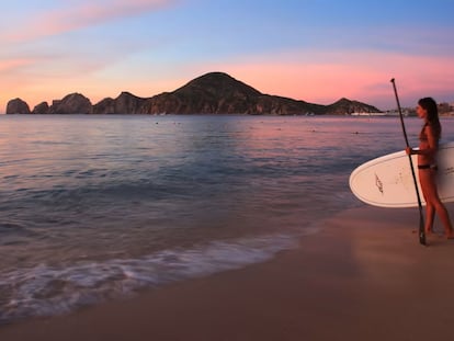 Los Cabos se conoce por sus playas paradisíacas, fauna marina y actividades al aire libre.