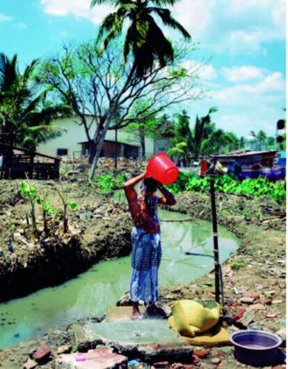 El barrio del Puerto en la ciudad de Galle. Una localidad de pescadores donde nadie quiere comer pescado: se ignora de qu&eacute; se habr&aacute;n alimentado.